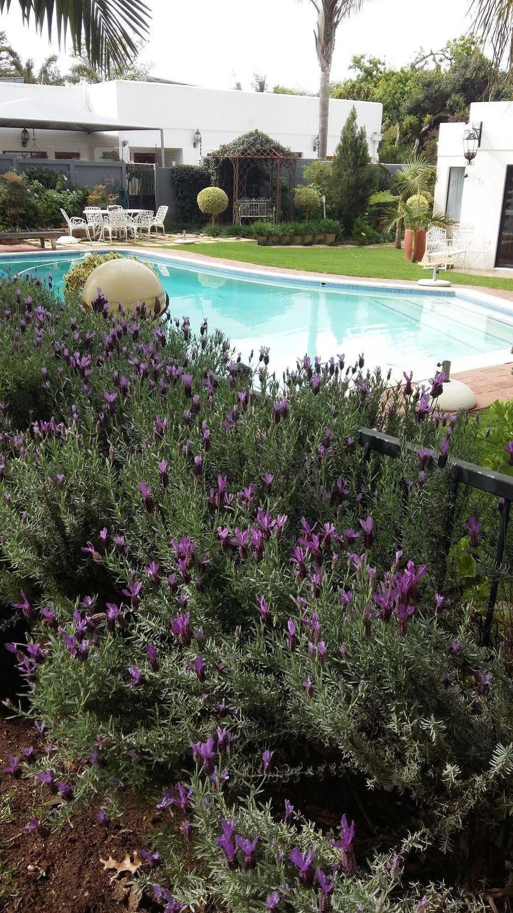 Cape Pillars Boutique Hotel Durbanville Zewnętrze zdjęcie